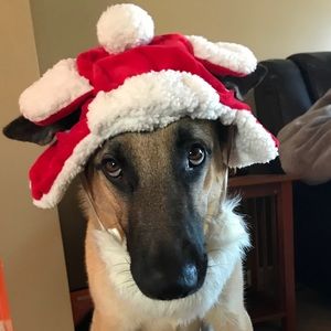 Meet your Posher, Kristy